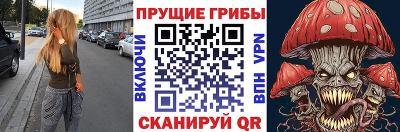 Псилоцибиновые грибы GOLDEN TEACHER  Бирюч 
