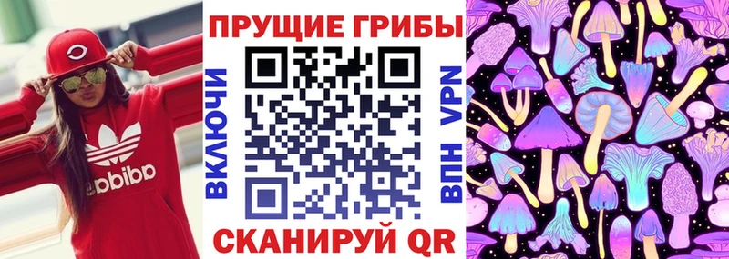 Псилоцибиновые грибы MAGIC MUSHROOMS Бирюч